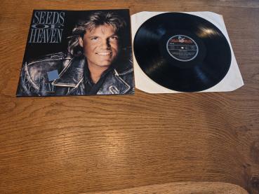 Blue System Seeds of Heaven 1991 Hansa 211411 Deutsche Pressung NM/VG+